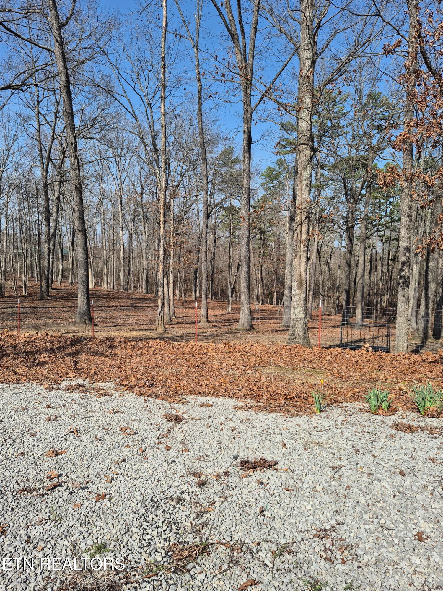 101 Ridgepoint Road Jamestown TN 38556