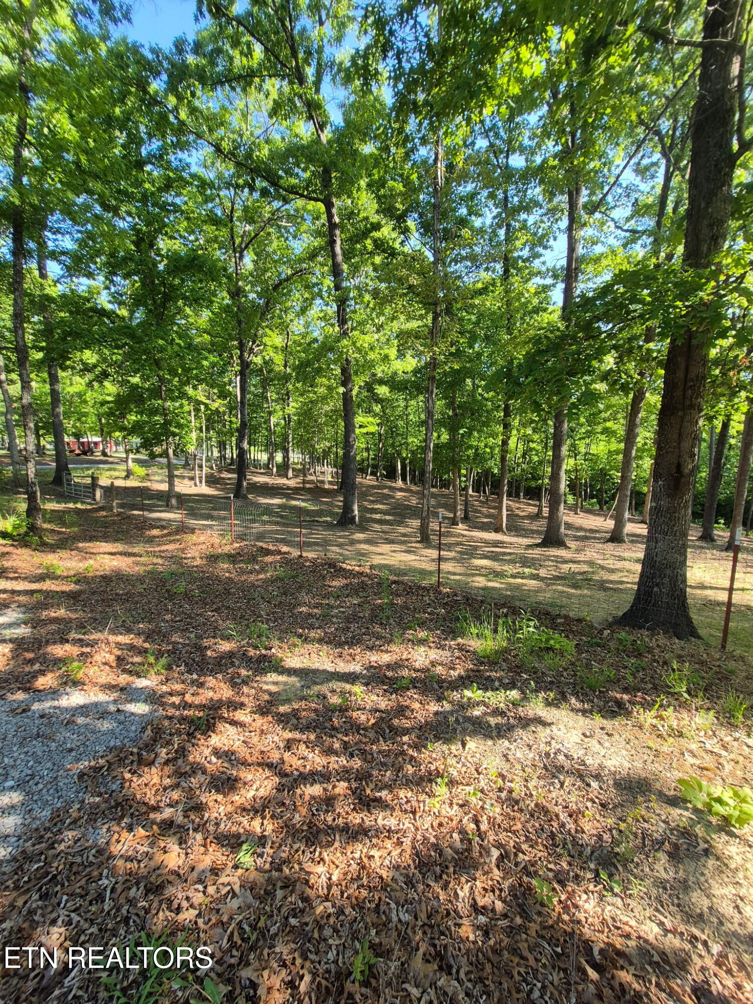 101 Ridgepoint Road Jamestown TN 38556