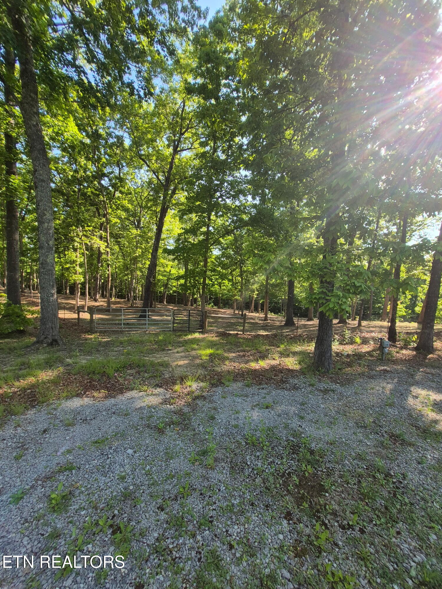 101 Ridgepoint Road Jamestown TN 38556