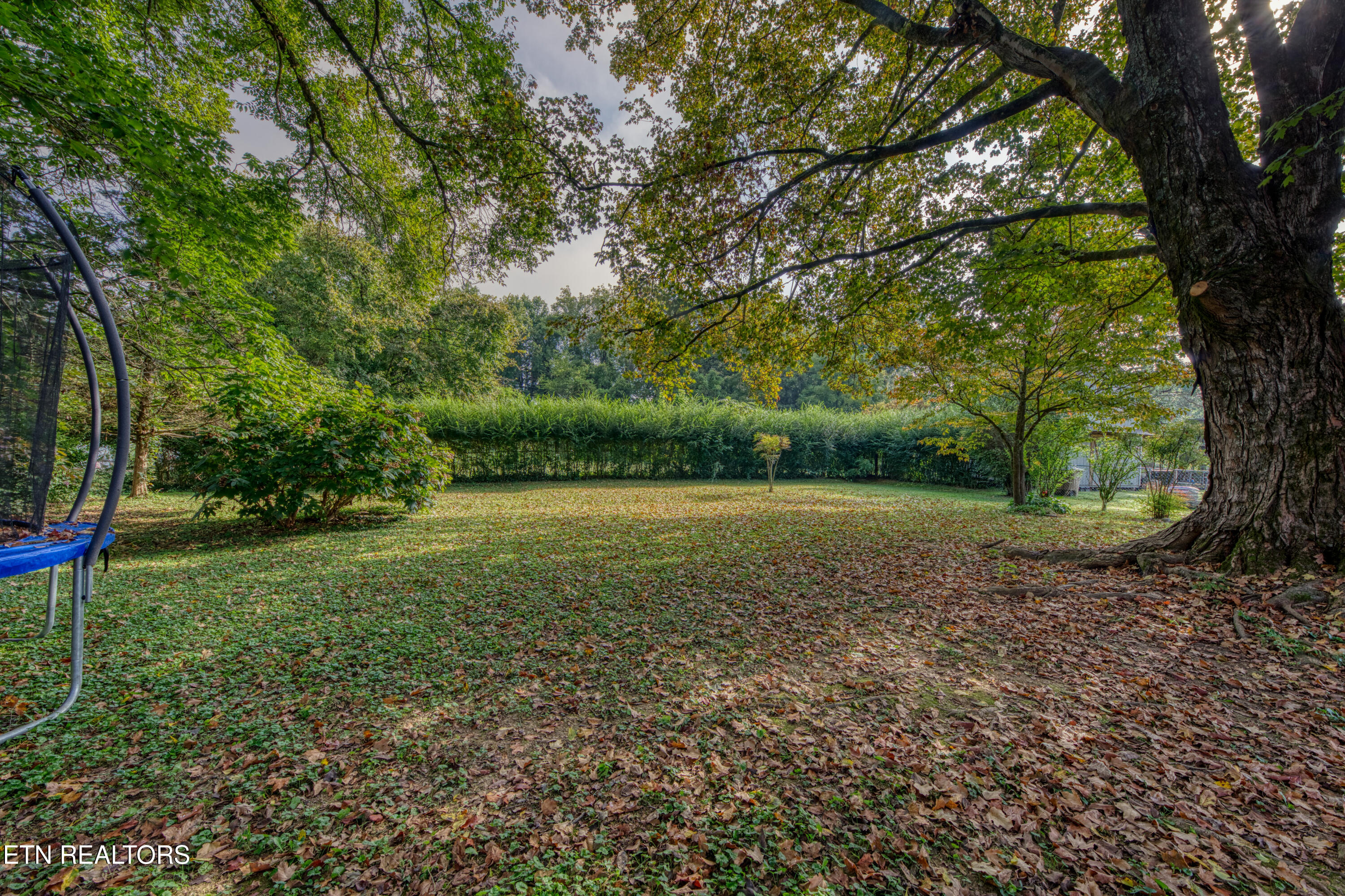 5908 Chalmers Drive Knoxville TN 37920