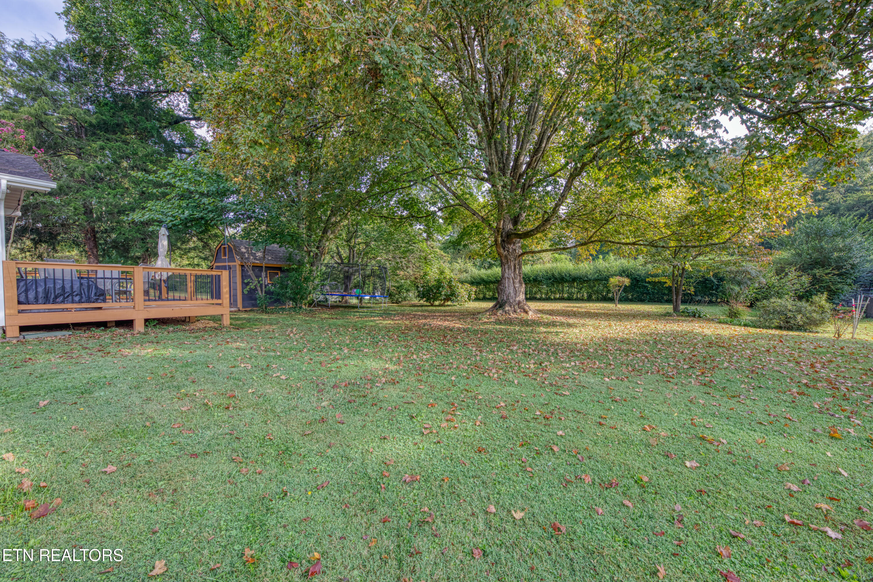 5908 Chalmers Drive Knoxville TN 37920
