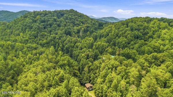 3694 Wilhite Road Sevierville TN 37876