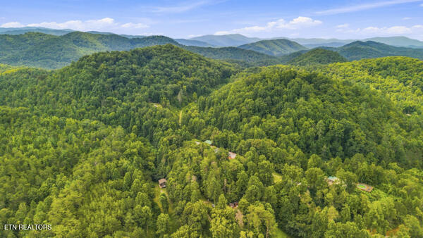 3694 Wilhite Road Sevierville TN 37876
