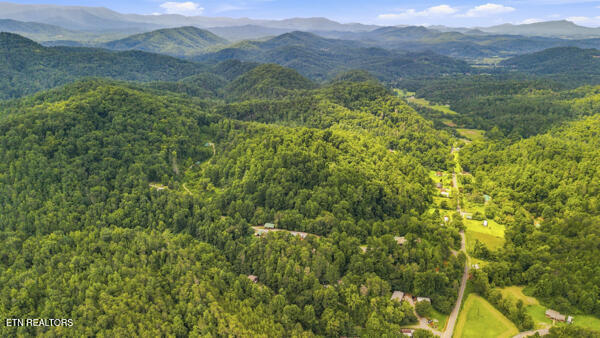 3694 Wilhite Road Sevierville TN 37876