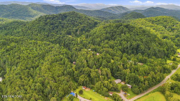 3694 Wilhite Road Sevierville TN 37876