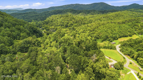 3694 Wilhite Road Sevierville TN 37876