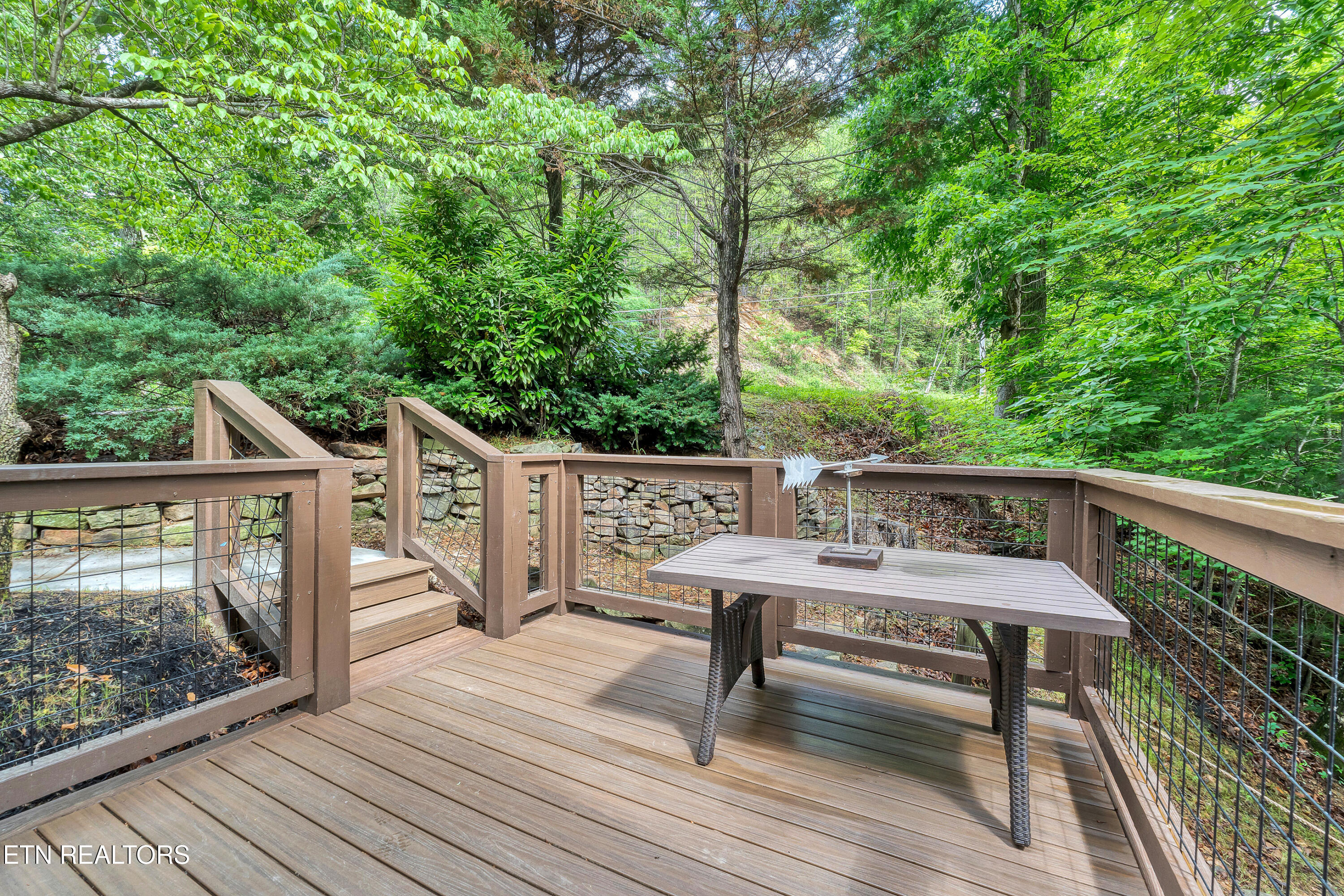 236 Tolliver Trail Townsend TN 37882