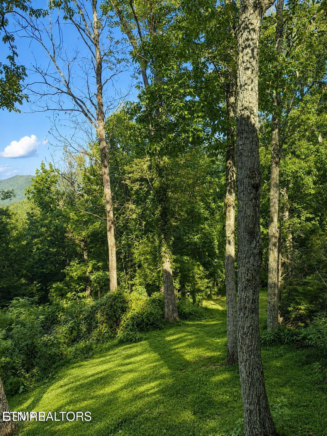 3085 Perry Circle Road Sevierville TN 37862