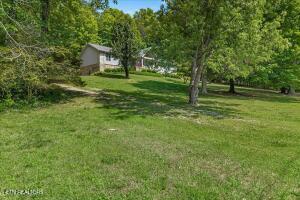 456 County Road 135 Riceville TN 37370