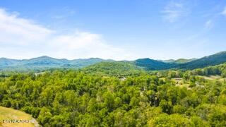 1958 Branam Hill Road Jellico TN 37762