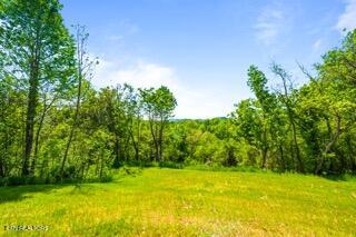 1958 Branam Hill Road Jellico TN 37762