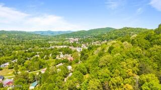 1958 Branam Hill Road Jellico TN 37762