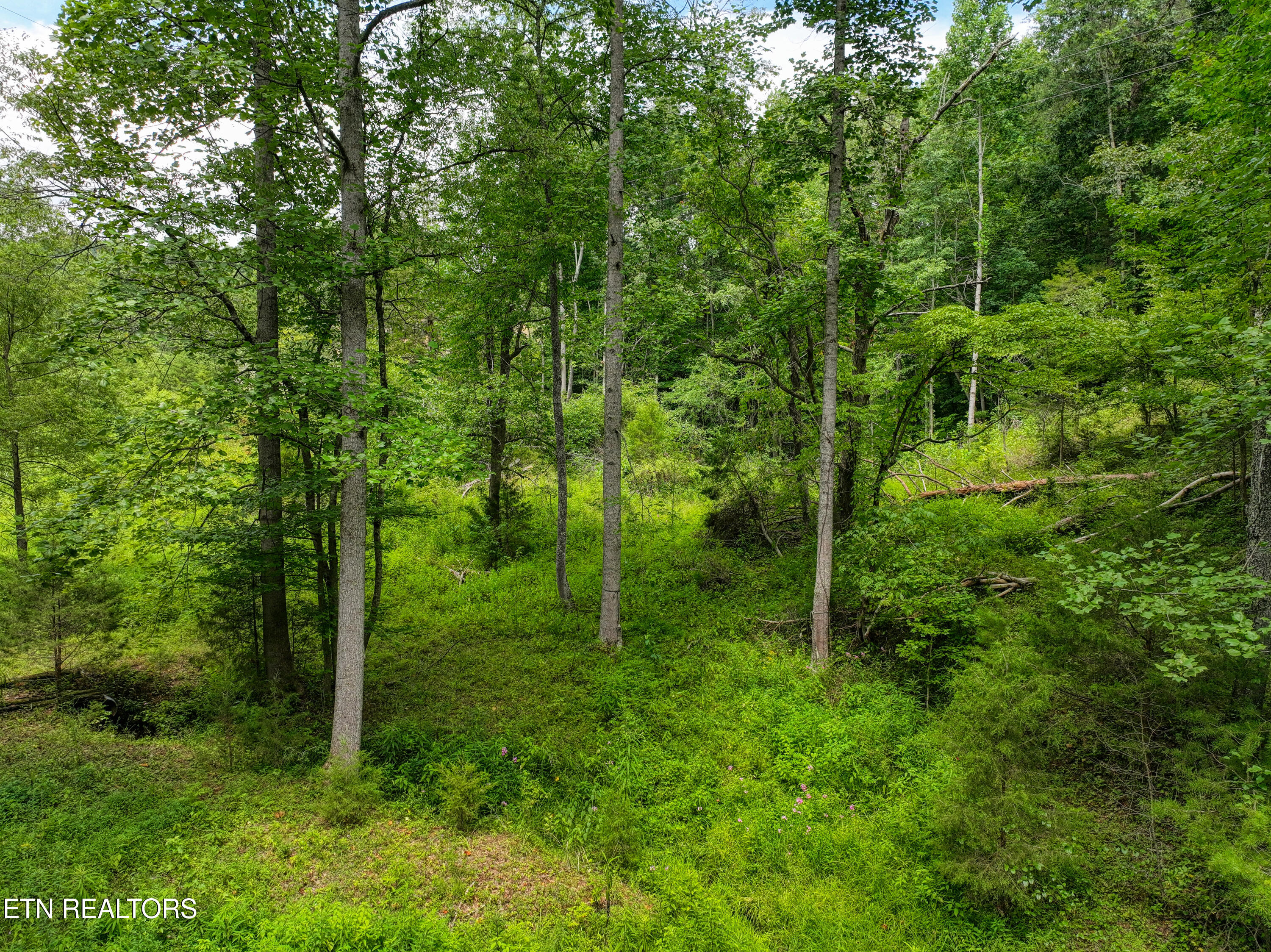713 Pine Ridge Road Clinton TN 37716
