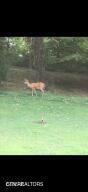 3114 Hatcher Top Road Sevierville TN 37862