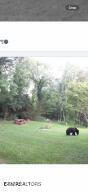 3114 Hatcher Top Road Sevierville TN 37862