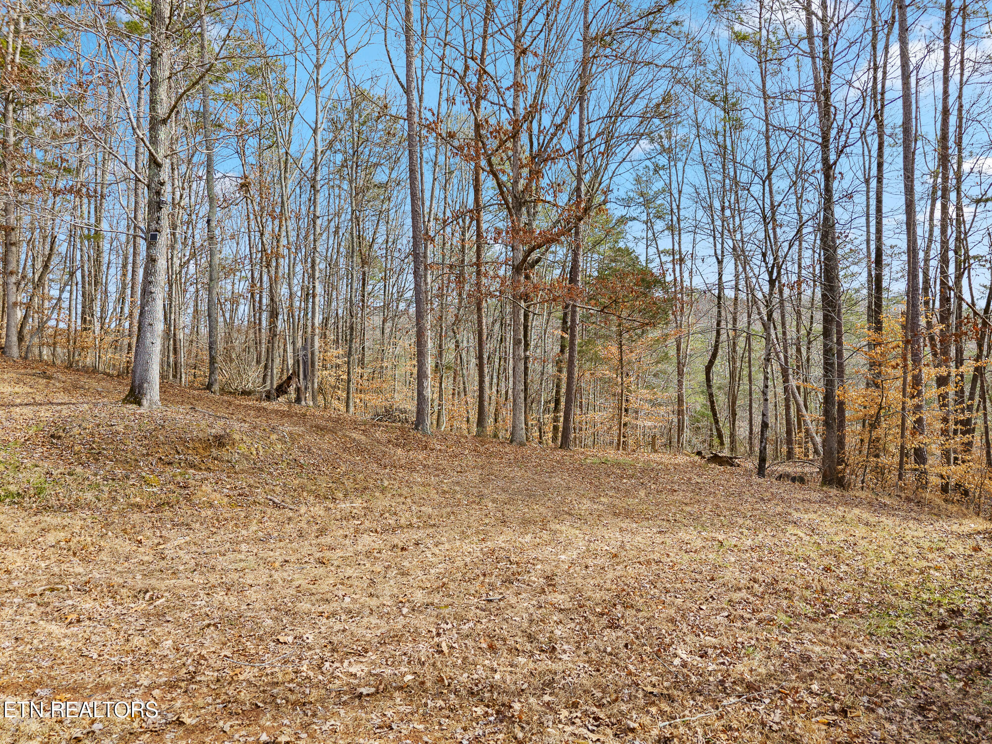 438 County Road 188 Decatur TN 37322