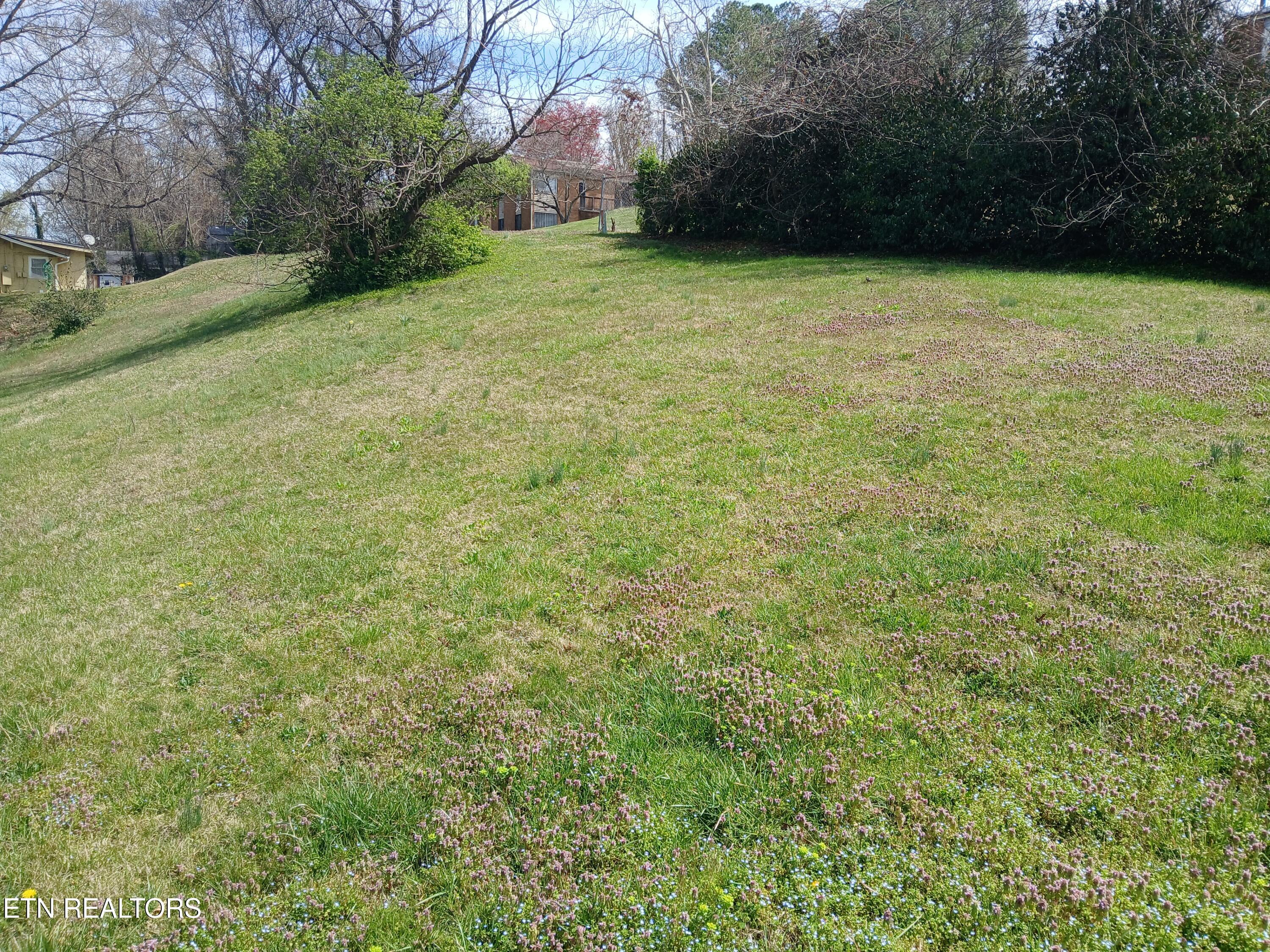 1940 Bethel Avenue Knoxville TN 37915