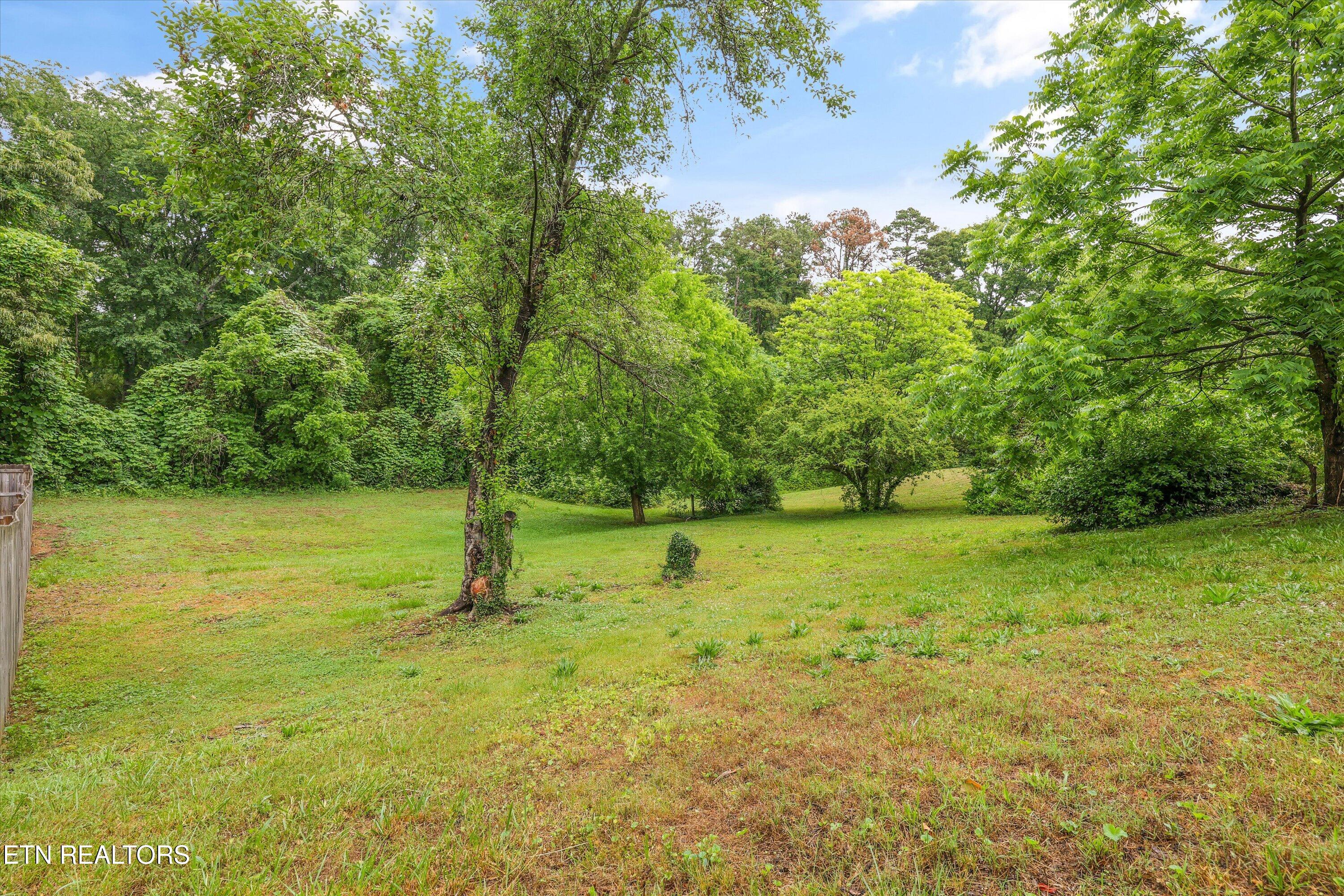 3046 Johnston Road Louisville TN 37777