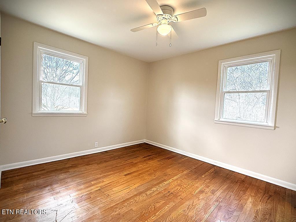 118 Collins Road Allons TN 38541