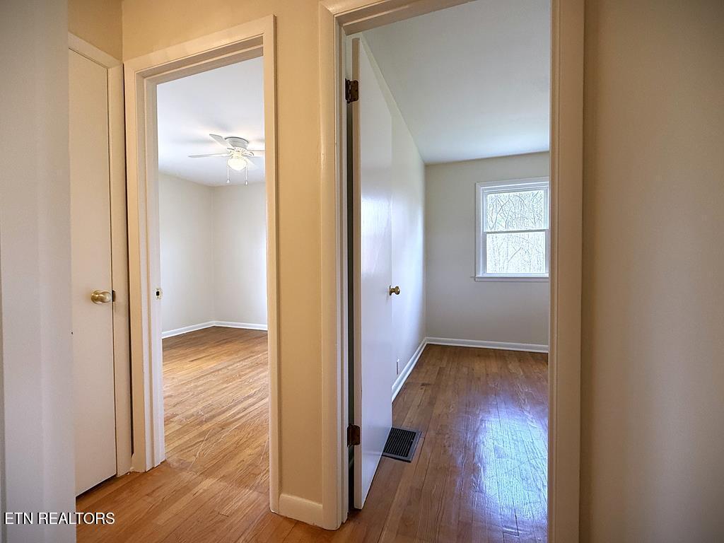 118 Collins Road Allons TN 38541