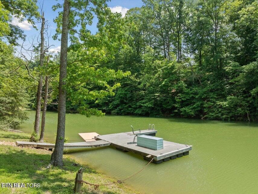 929 Black Alder Lane Dandridge TN 37725