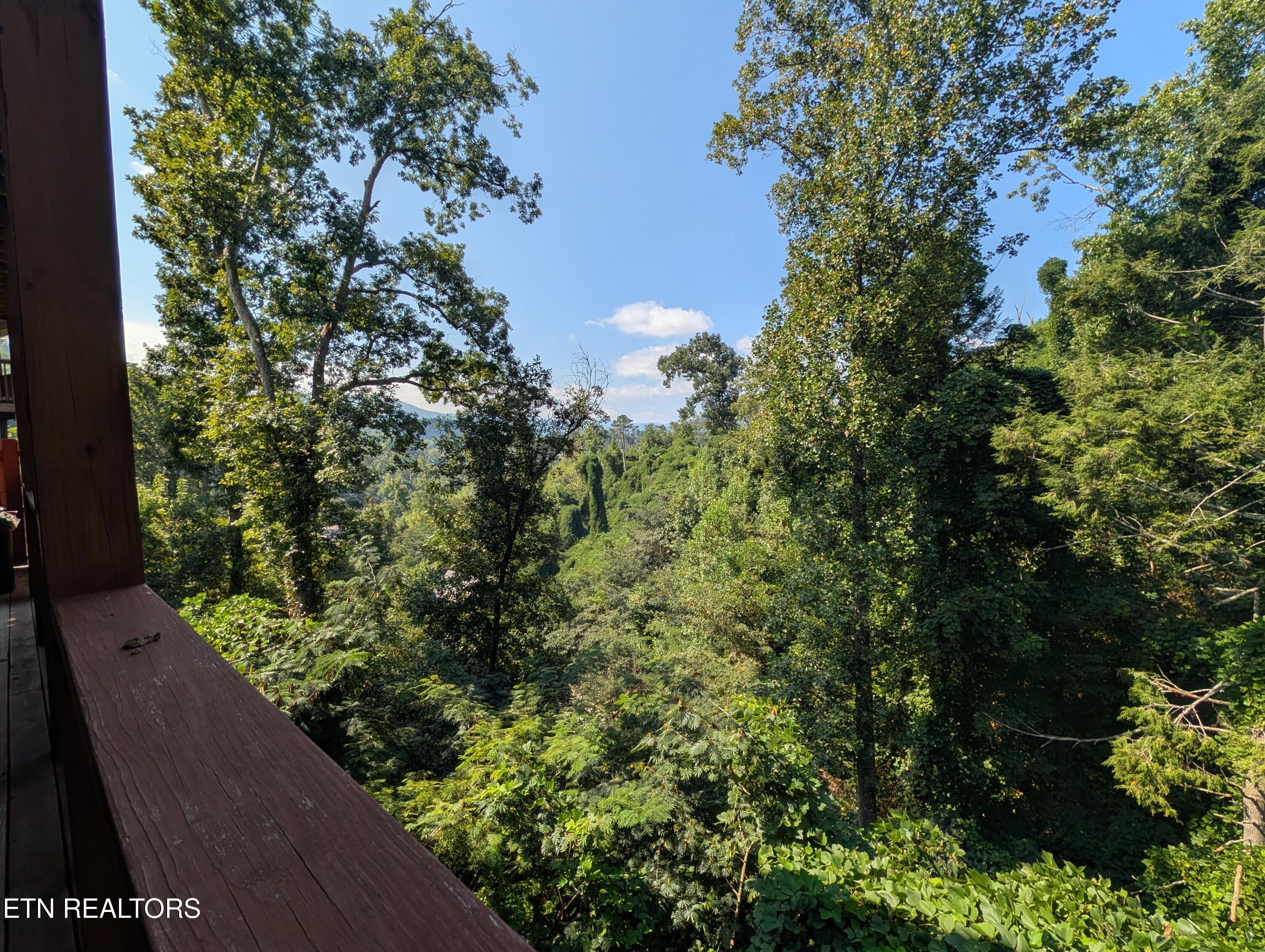 714 Old Ridge Road Gatlinburg TN 37738