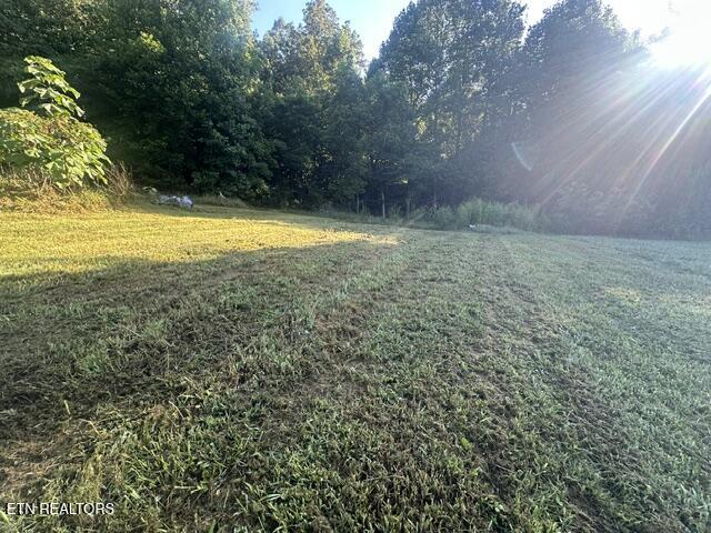 303 Robertson Lane Speedwell TN 37870