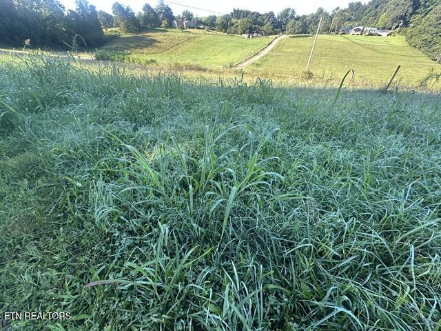 303 Robertson Lane Speedwell TN 37870