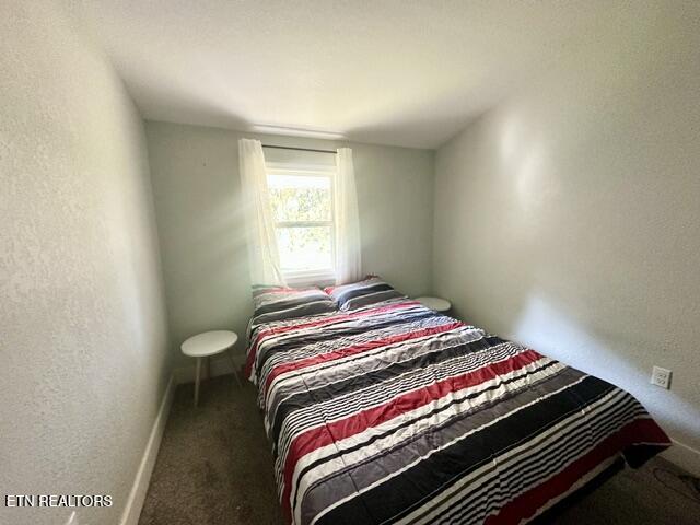 303 Robertson Lane Speedwell TN 37870