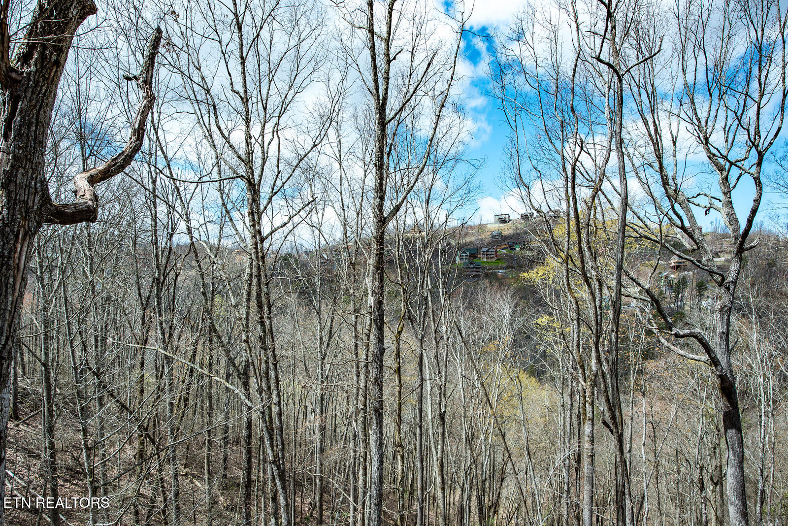 921 Statham Way Gatlinburg TN 37738