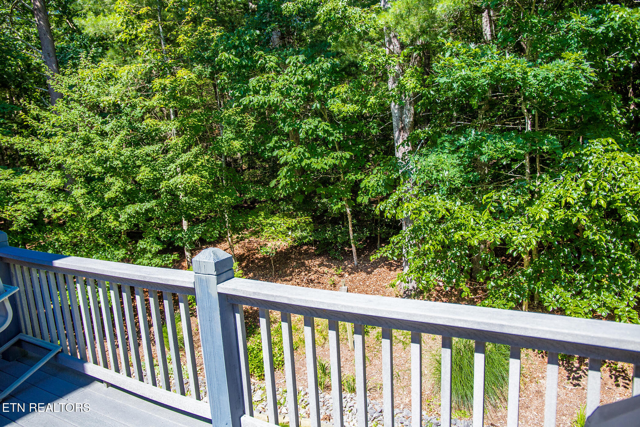 169 Forest View Drive Crossville TN 38558