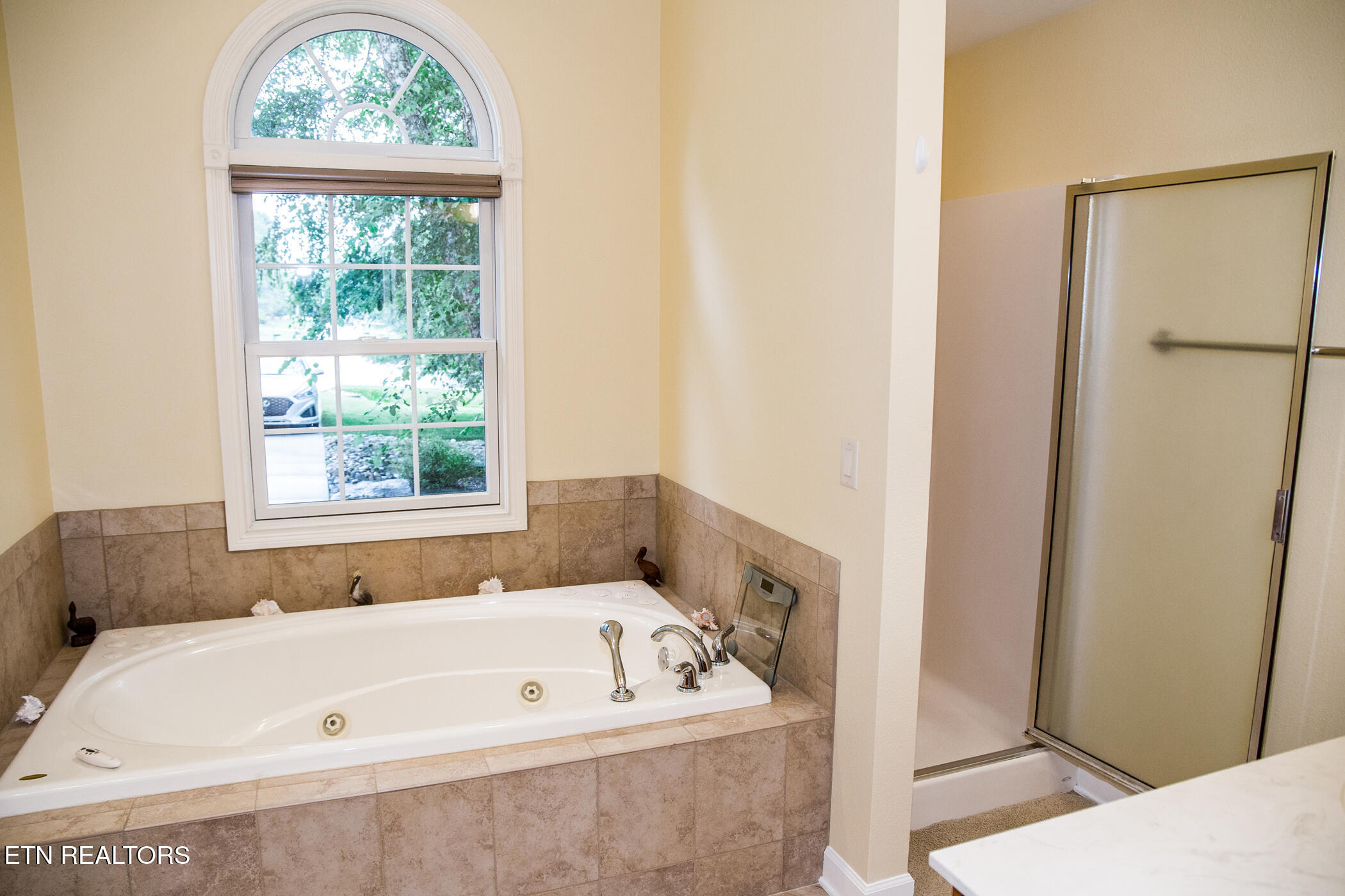169 Forest View Drive Crossville TN 38558