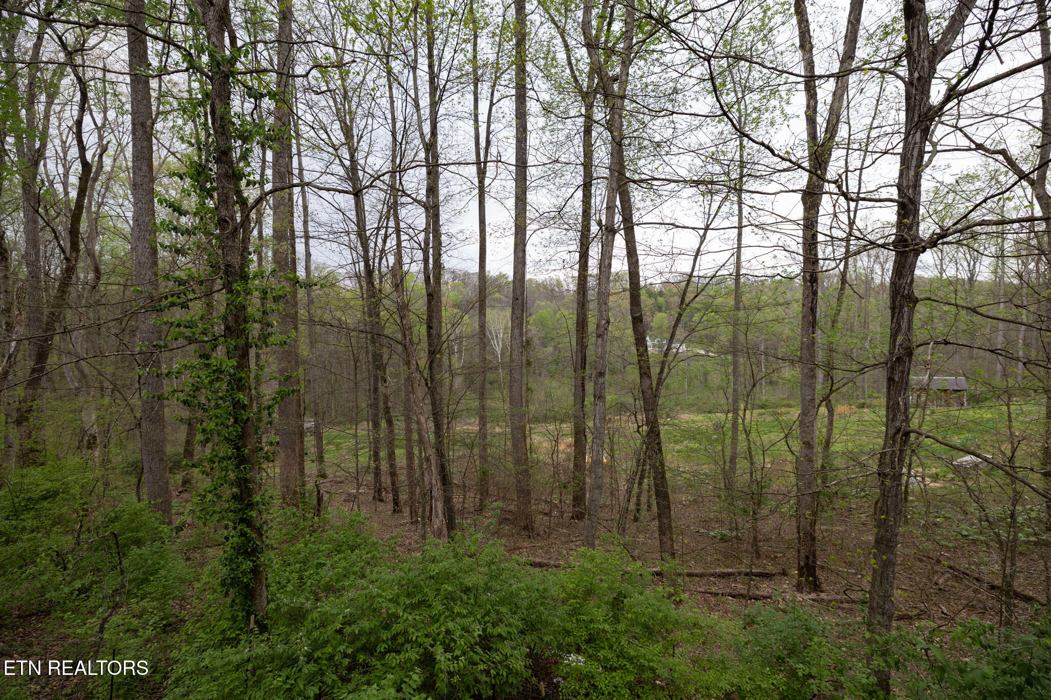 151 Lakeview Circle Clinton TN 37716