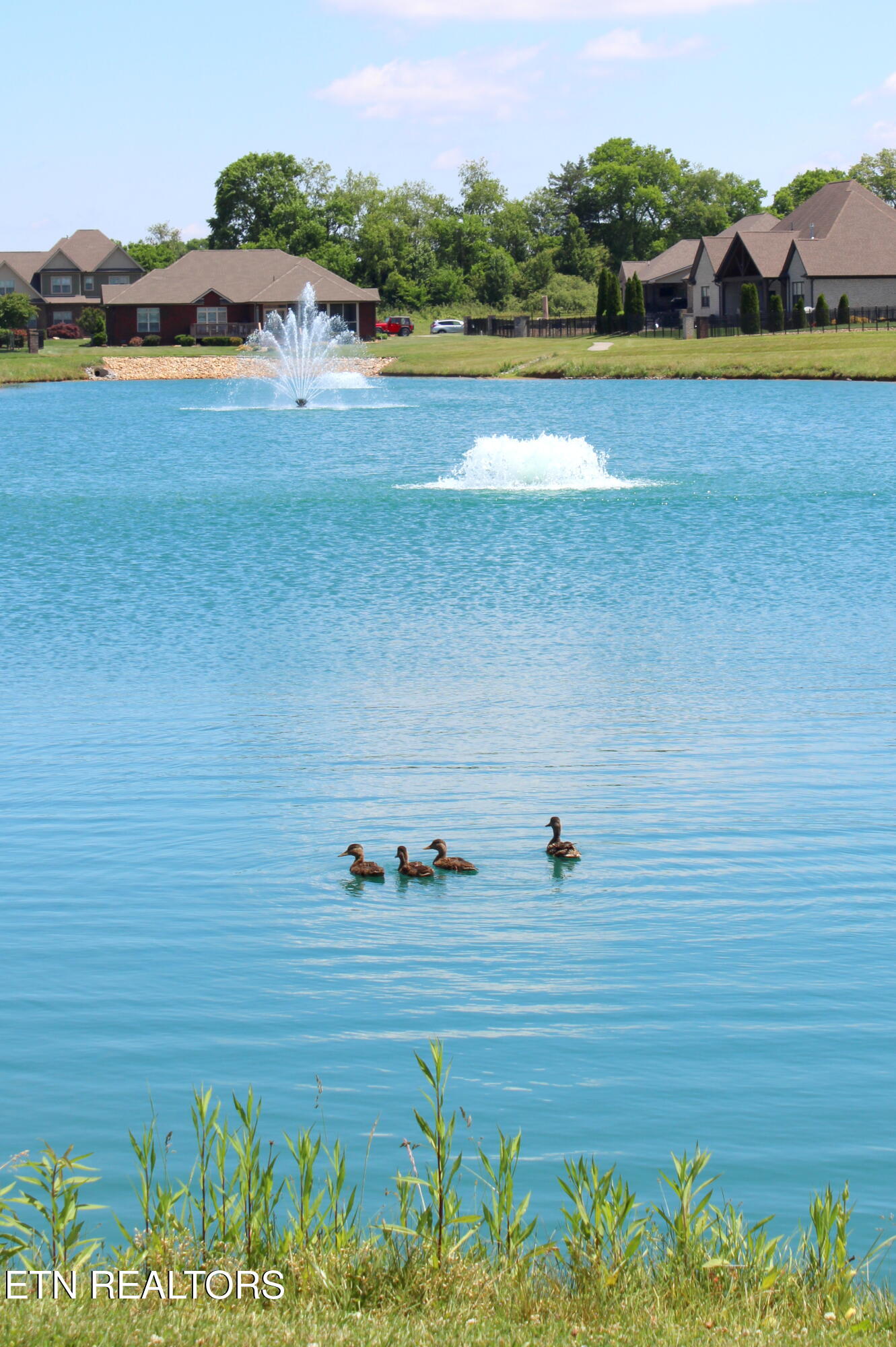 114 Pheasant Walk Drive Maryville TN 37804