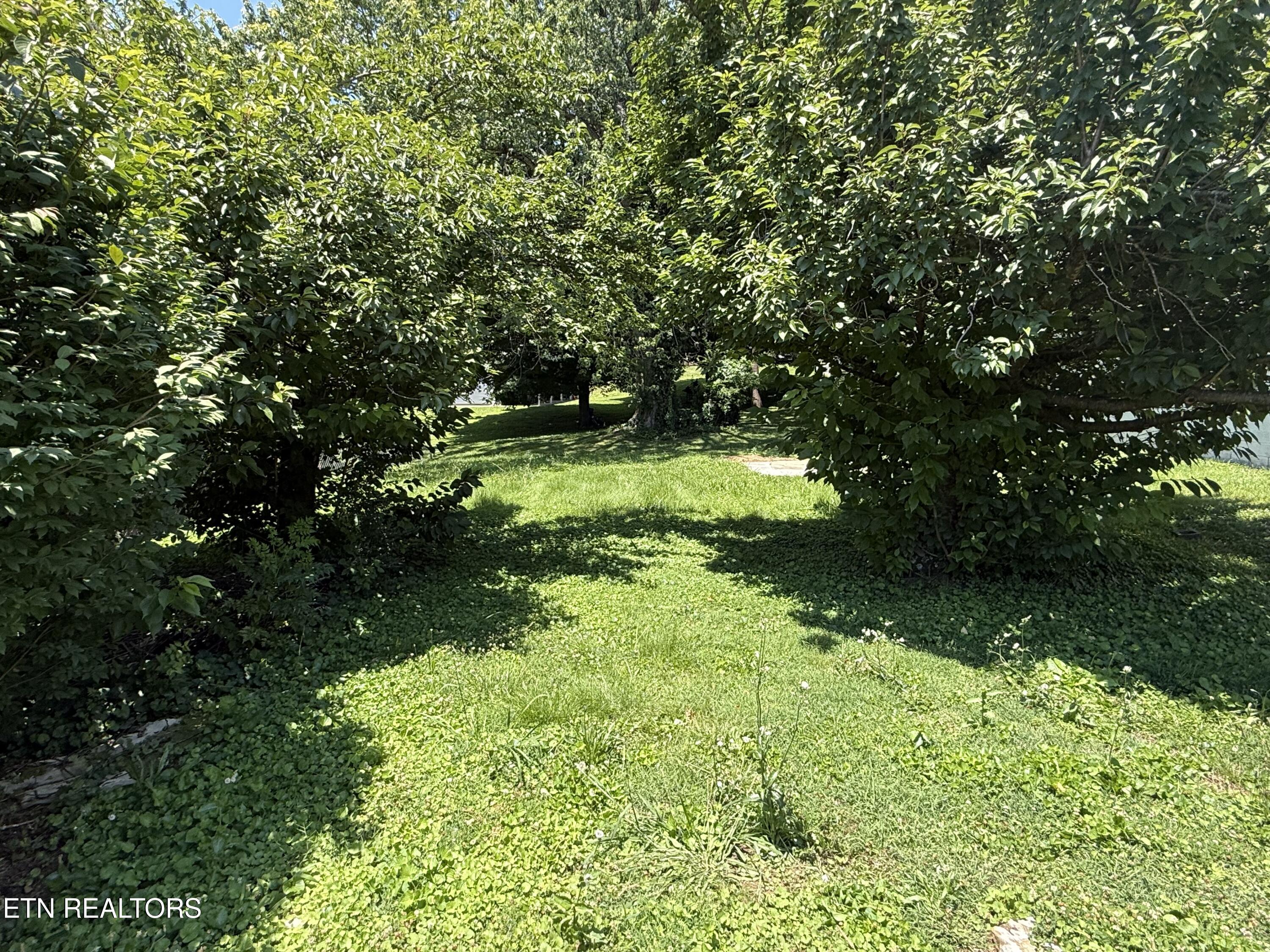 1907 Brown Avenue Knoxville TN 37917