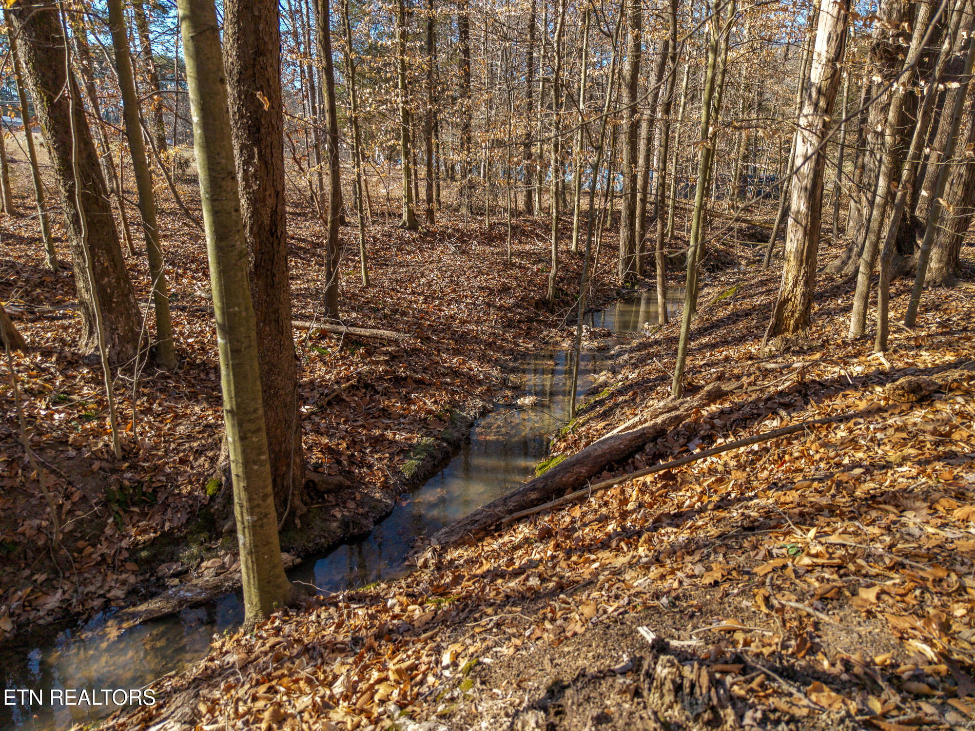 537 County Road 188 Decatur TN 37322