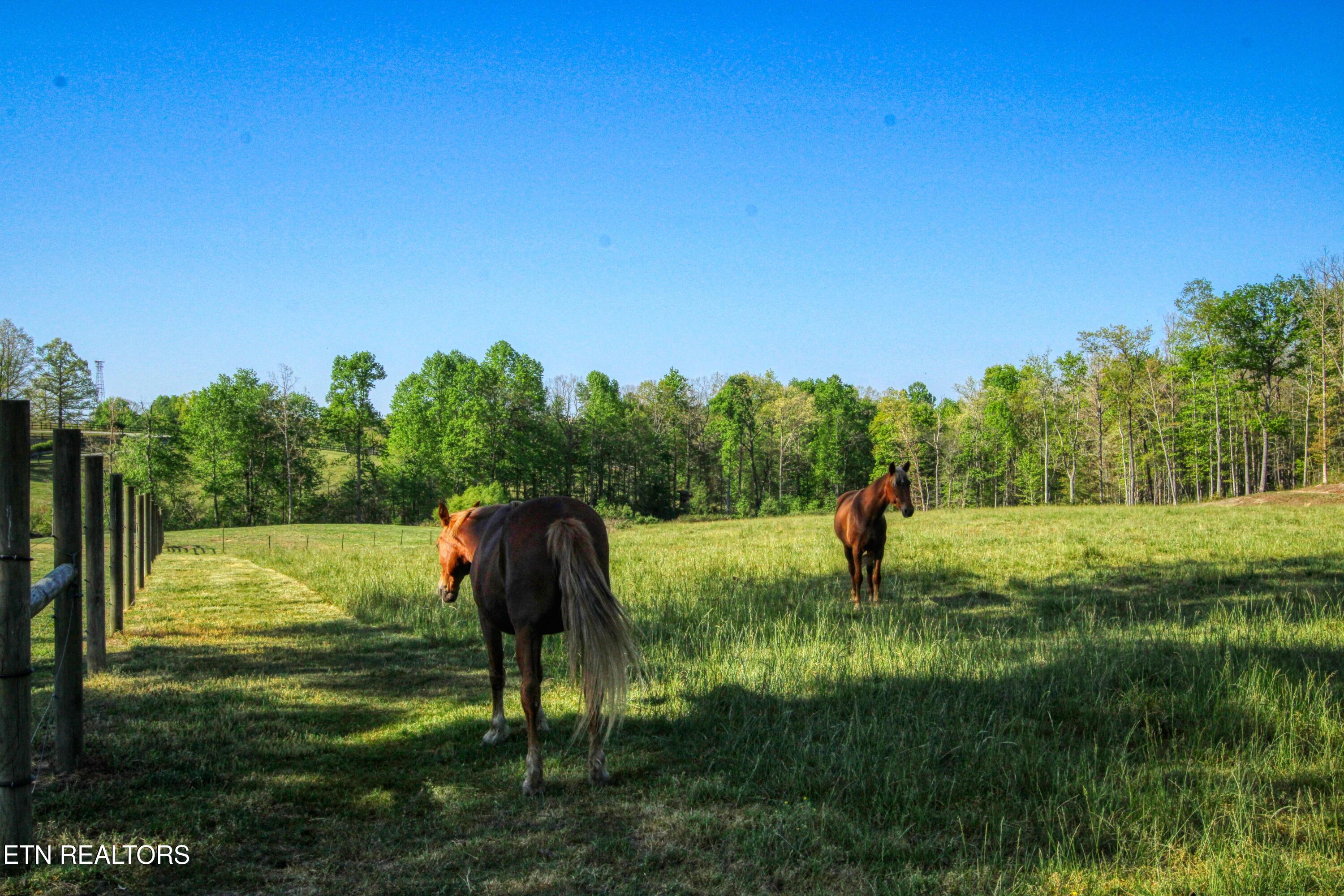 147 Akers Chapel Loop Jamestown TN 38556