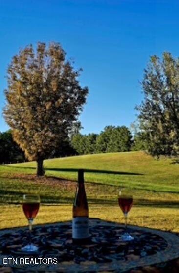 1089 Dogwood Road Tazewell TN 37879