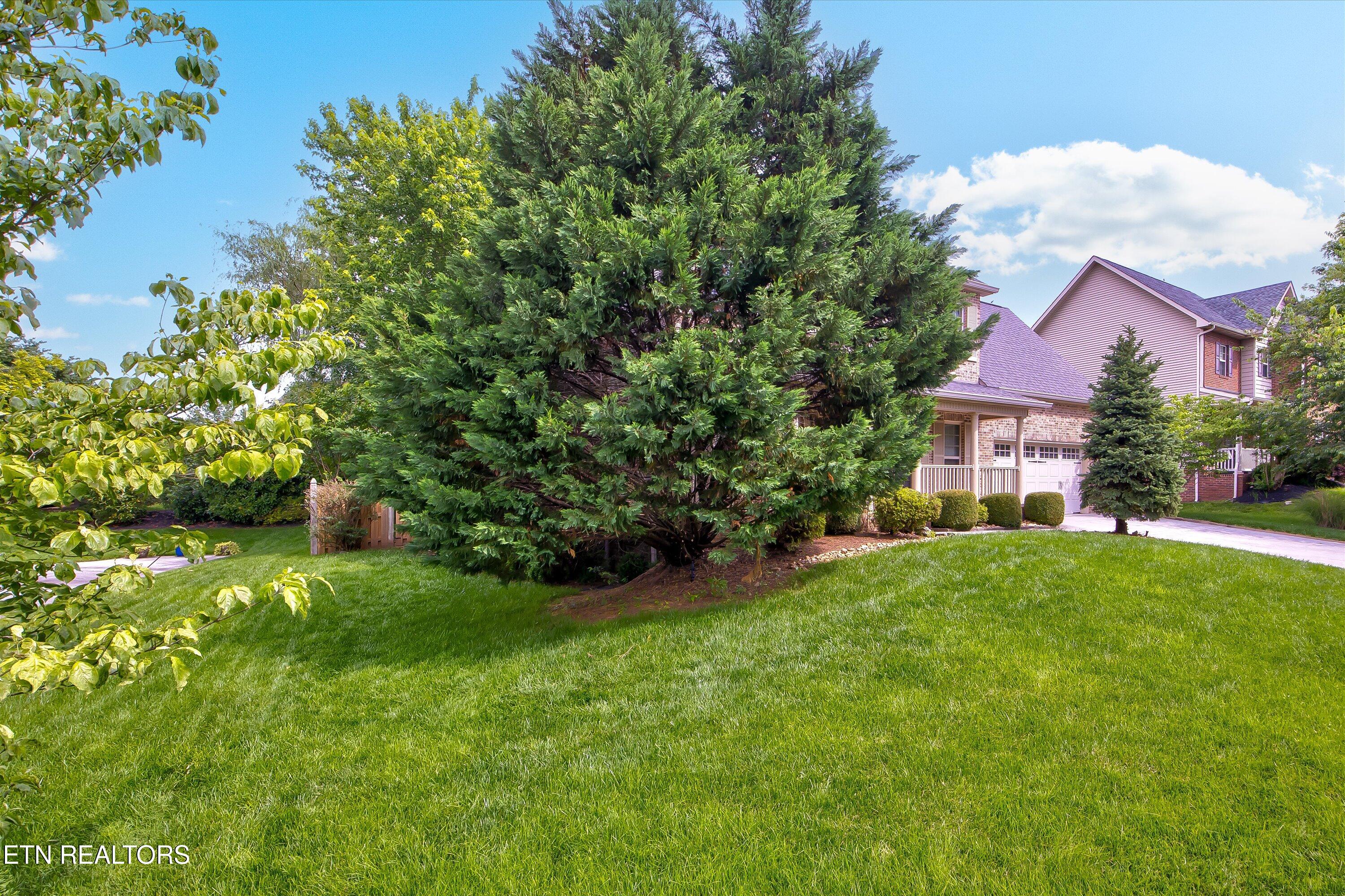11537 Woodcliff Drive Knoxville TN 37934