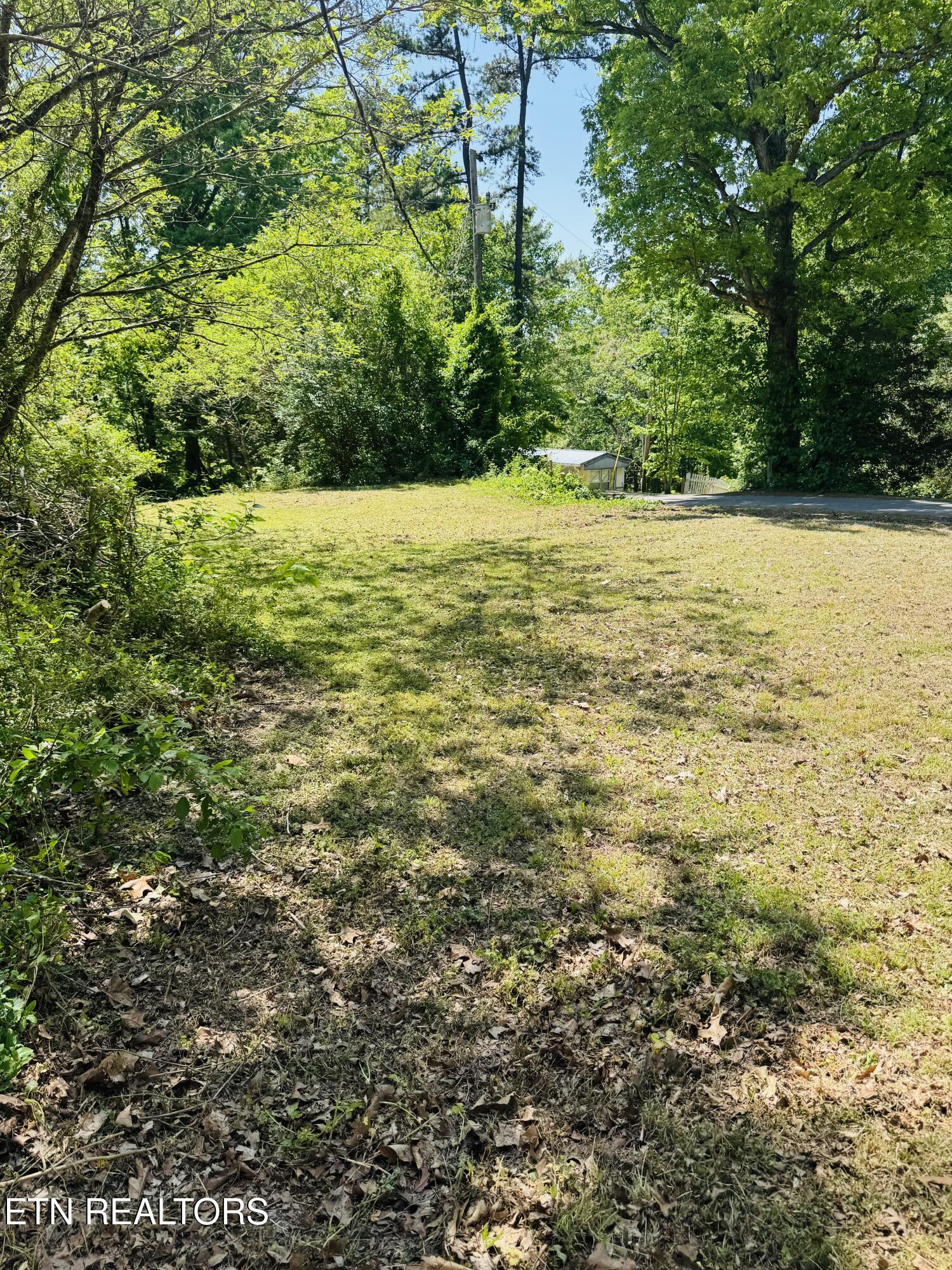 9923 Old Chestnut Ridge Road Heiskell TN 37754