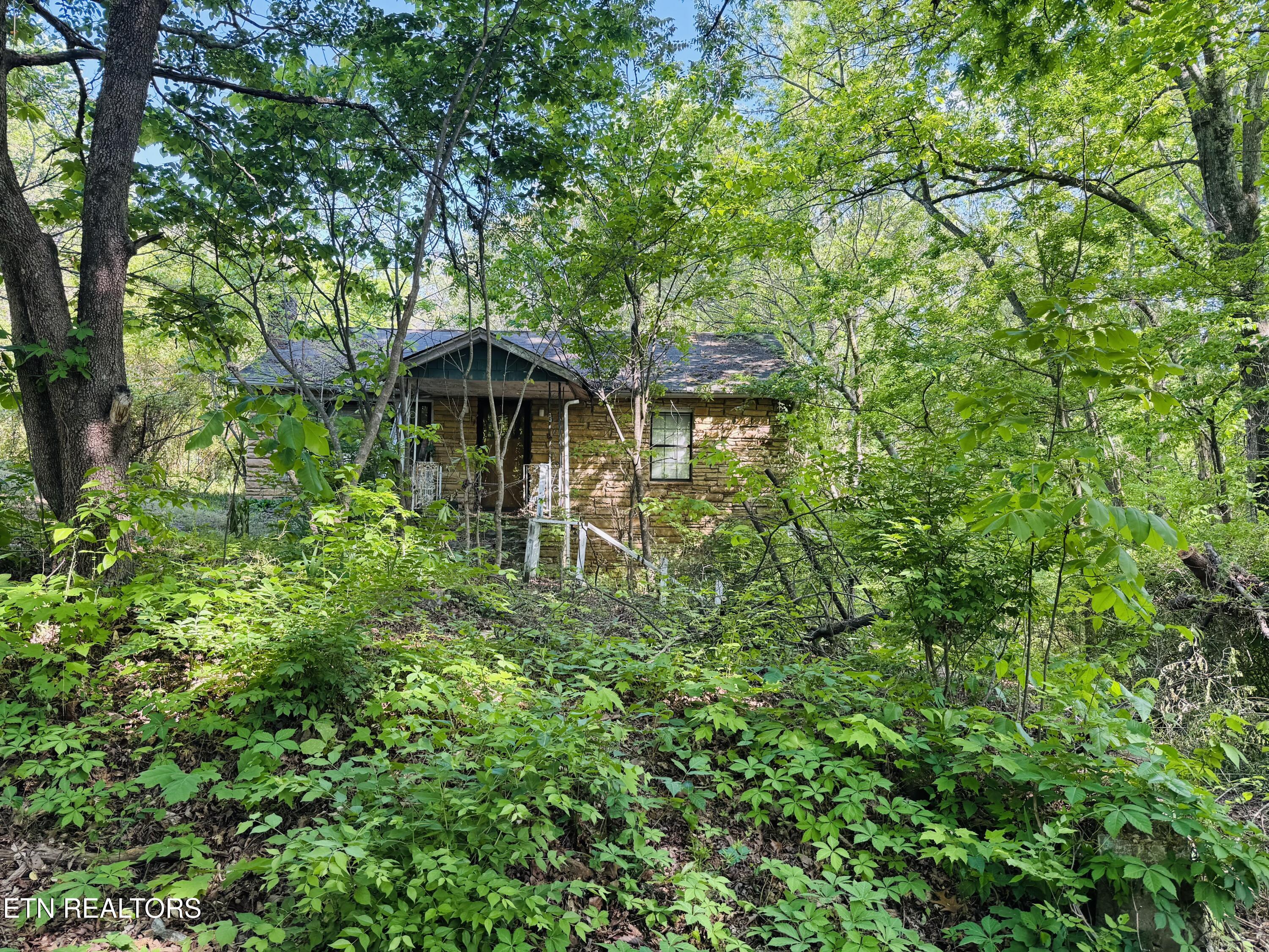 9923 Old Chestnut Ridge Road Heiskell TN 37754