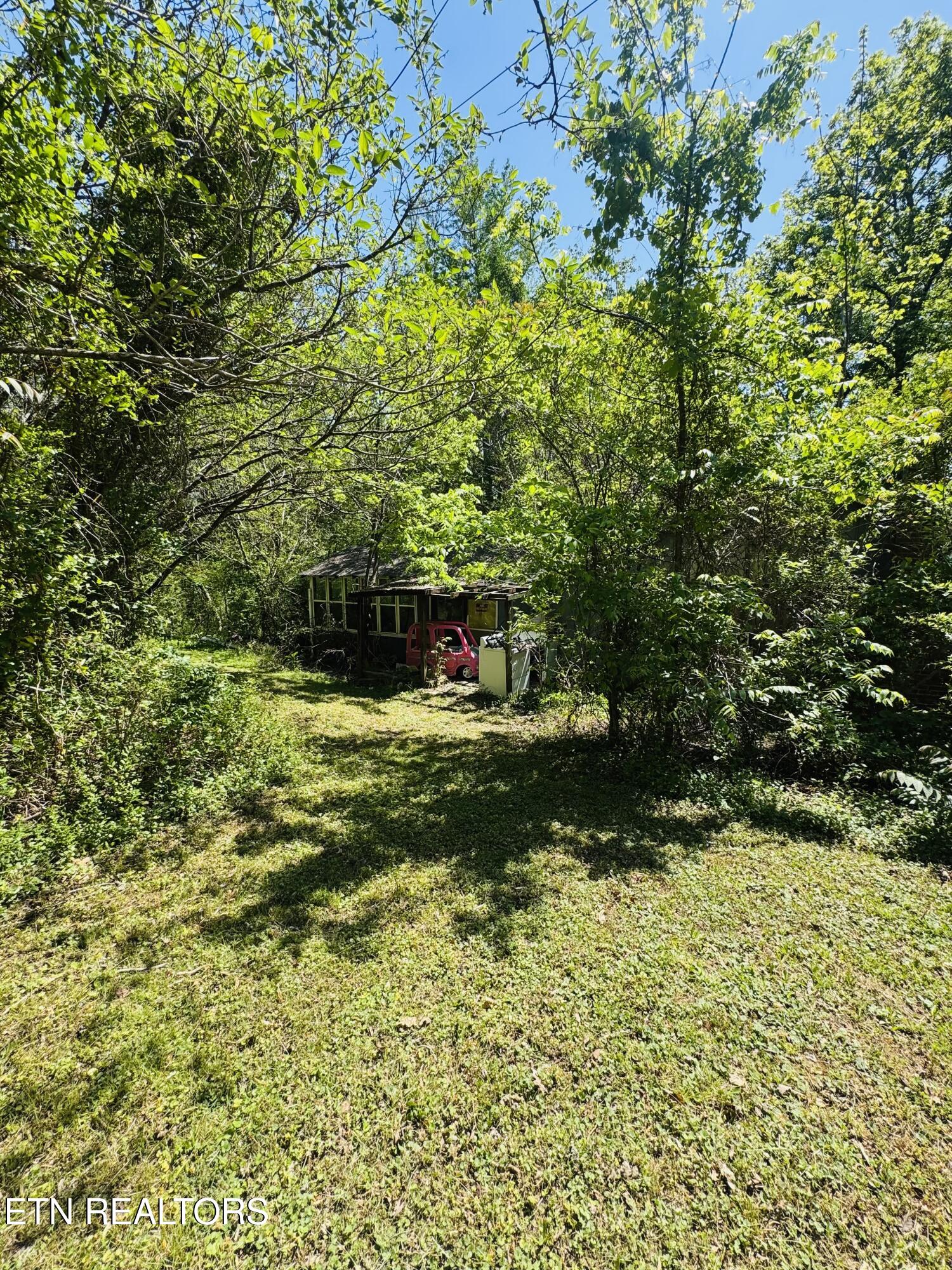 9923 Old Chestnut Ridge Road Heiskell TN 37754