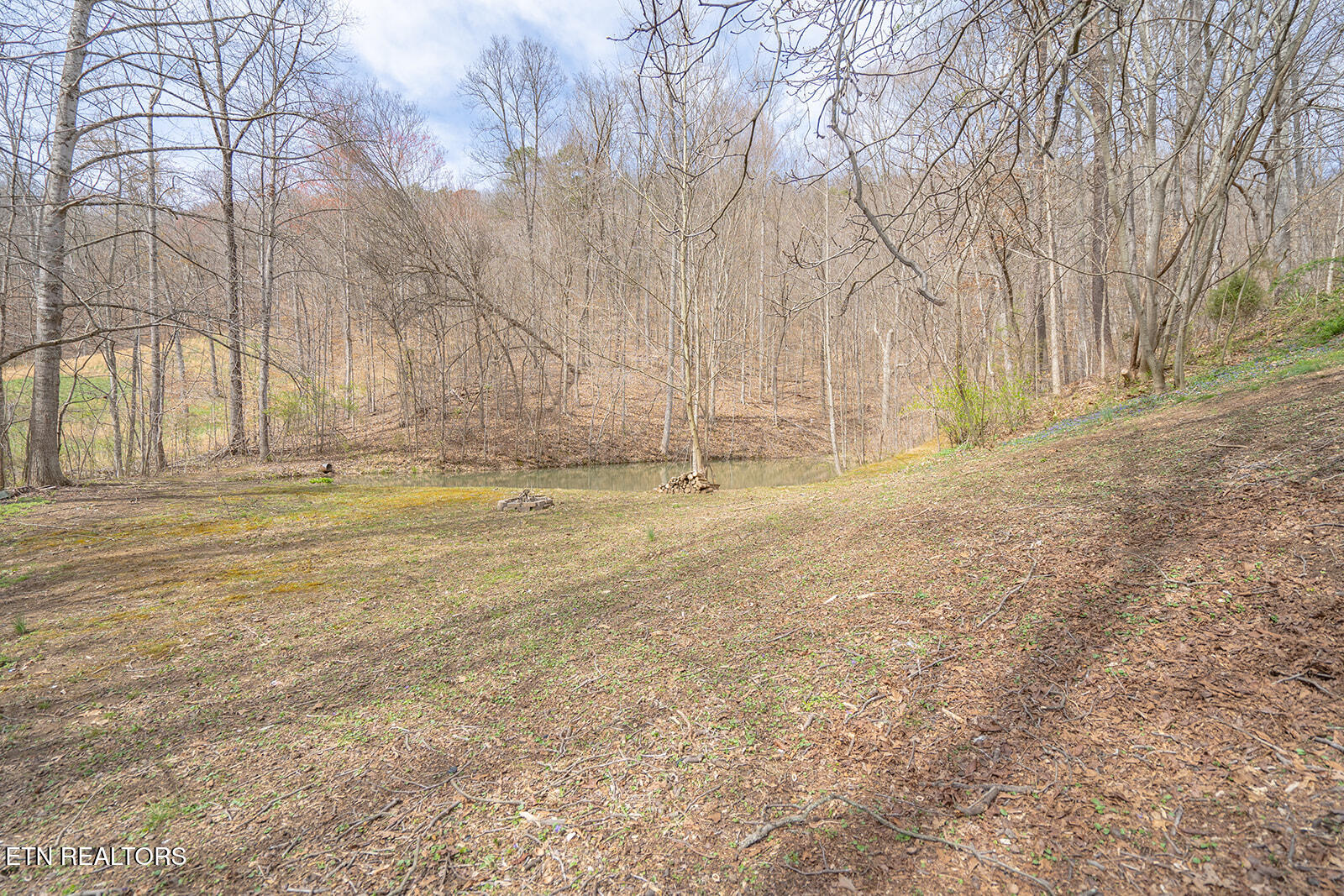 291 Twin Lane Washburn TN 37888