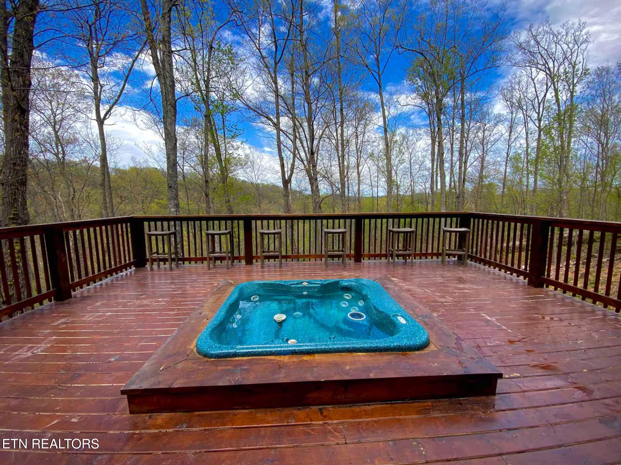 410 Buena Vista Drive Sevierville TN 37876