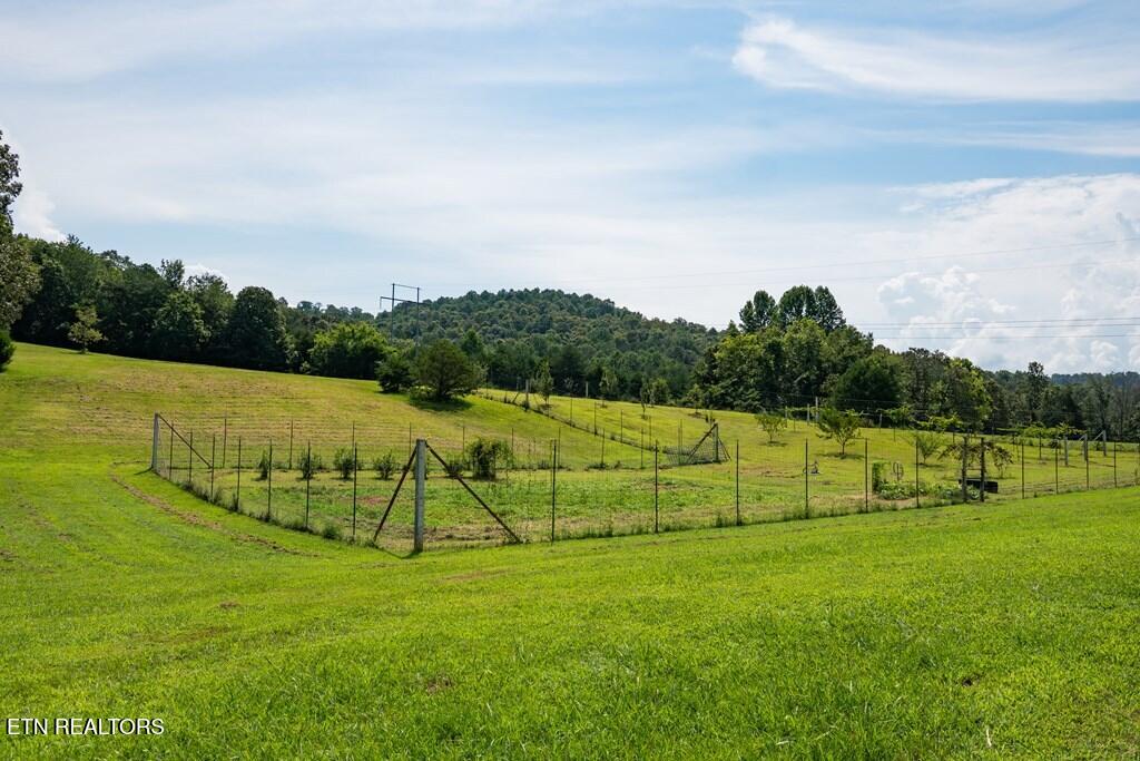 1518 Cummingsville And Sparkman Road Doyle TN 38559