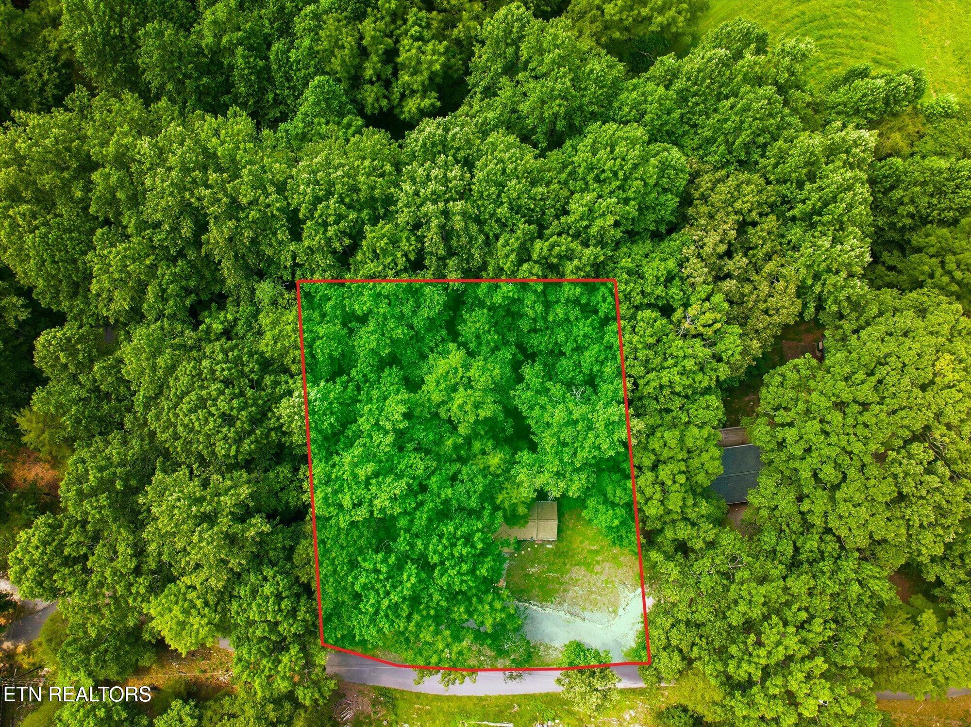209 Royce Road Andersonville TN 37705