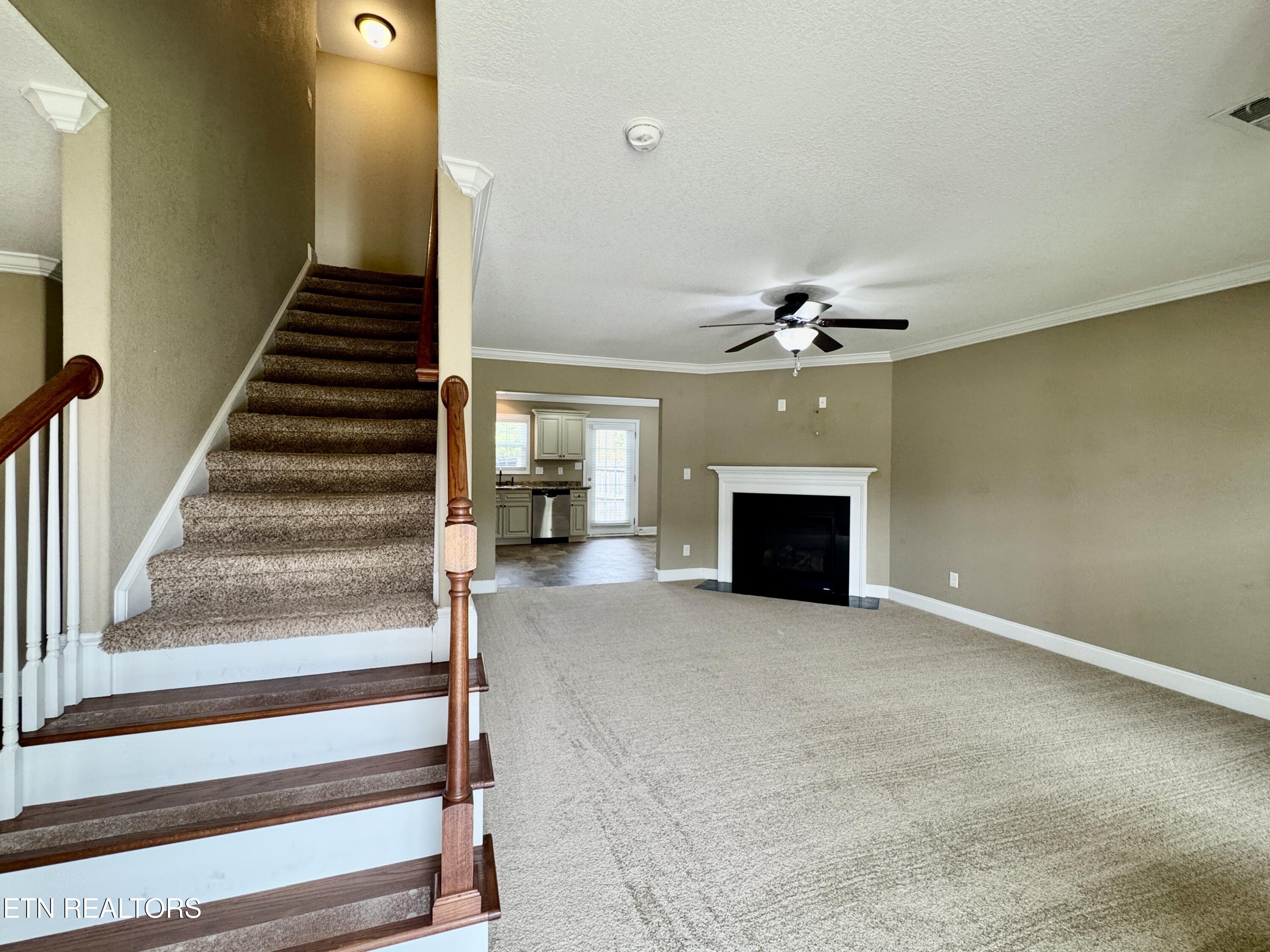 1203 Elsborn Ridge Road Maryville TN 37801
