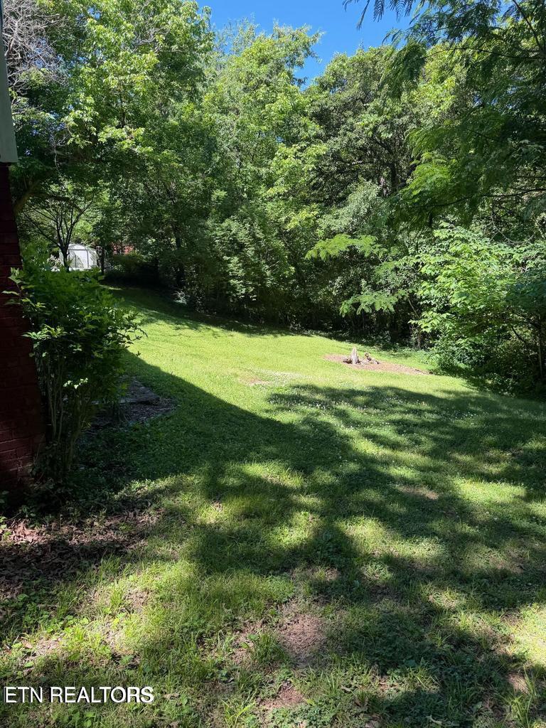 835 Spring Drive Knoxville TN 37920