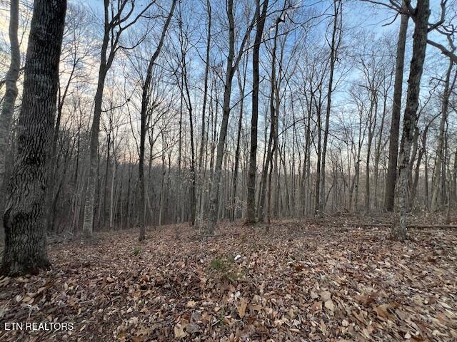 192 Taylor Road Byrdstown TN 38549