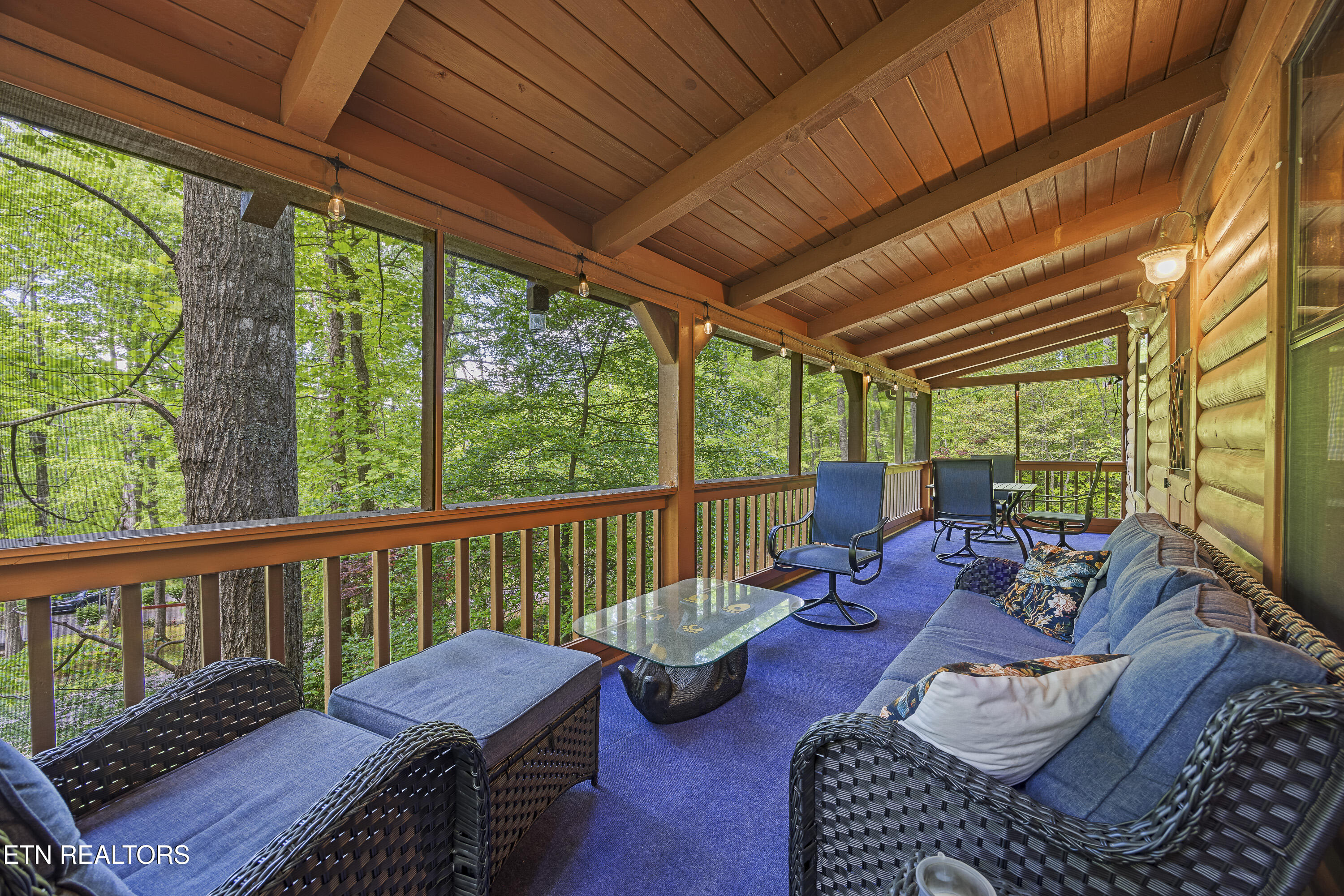 951 Emilyville Way Cosby TN 37722